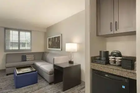 Embassy Suites by Hilton Atlanta at Centennial Olympic Park - 13