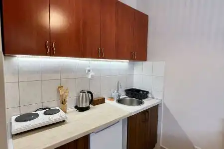 Villa Wolf Brave (Hrabri Vuk) - 15