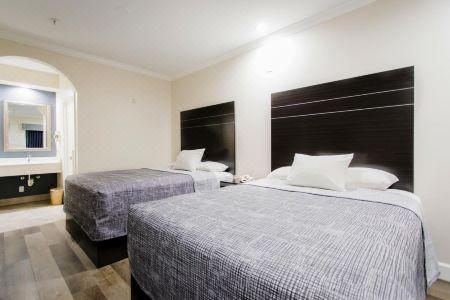 Palace Inn TX-249 - 74