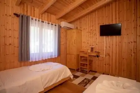 Shpija e Gjyshit - 48