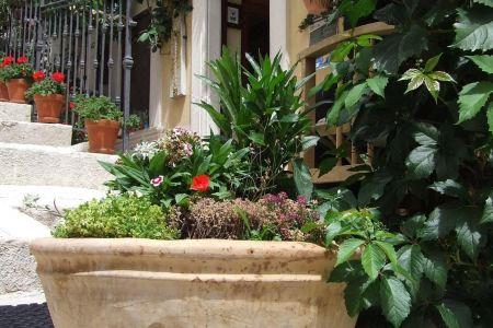 Garnì B&B la Rua-Pescocostanzo - 9