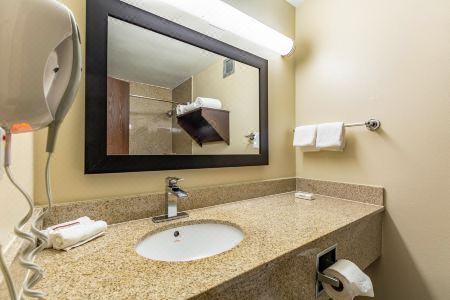 Red Roof Plus+ & Suites Houston - IAH Airport SW - 18