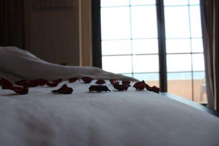 Sea view - 15