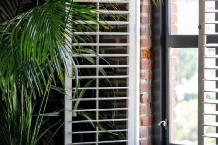 Argonaut, a Noble House - 16