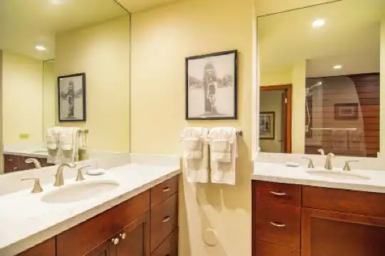 Kapalua Villas Maui - 333