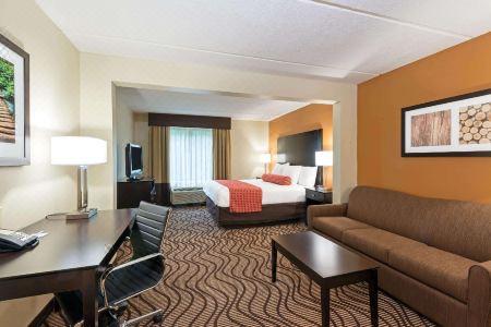 Comfort Inn & Suites Tampa North I-75 - 11