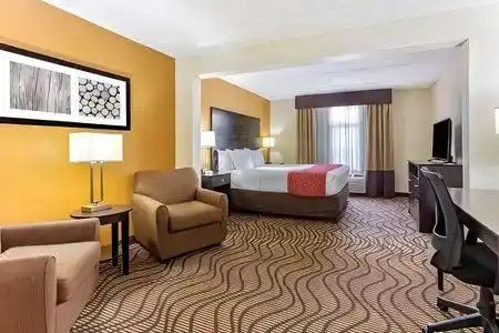 Comfort Inn & Suites Tampa North I-75 - 0