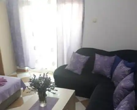 Guesthouse Oaza Emi - 50