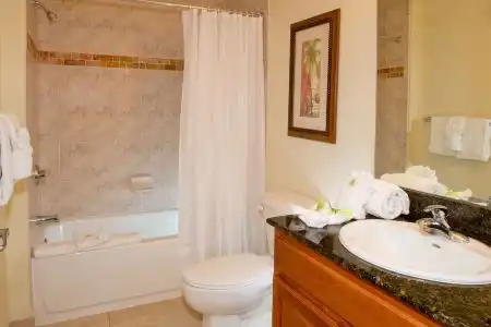 Lake Buena Vista Resort Village & Spa - 13