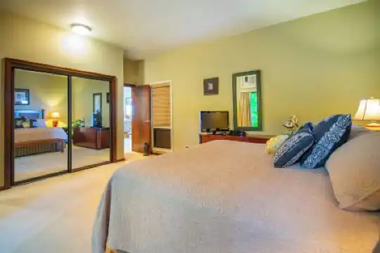 Kapalua Villas Maui - 330