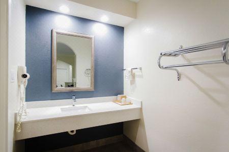 Palace Inn TX-249 - 67
