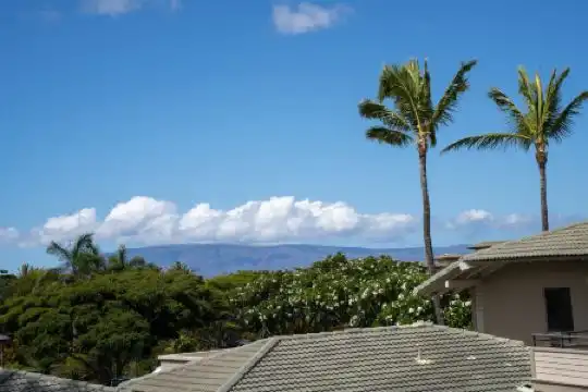 Kapalua Villas Maui - 396