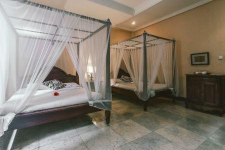 Honeymoon Guesthouse - 107