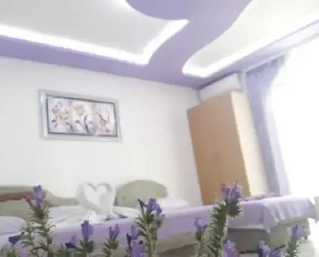 Guesthouse Oaza Emi - 51