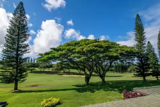 Kapalua Villas Maui - 429