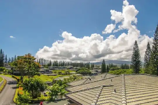 Kapalua Villas Maui - 386
