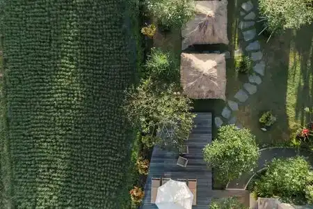 Byasa Ubud - 0