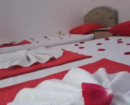 Guesthouse Oaza Emi - 19