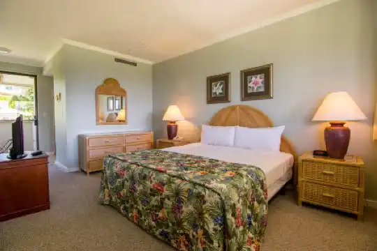 Kapalua Villas Maui - 11