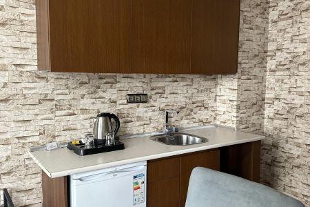 Sabi̇ha Gokcen İstanbul House - 100