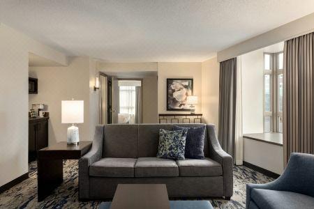 Embassy Suites by Hilton Atlanta at Centennial Olympic Park - 50