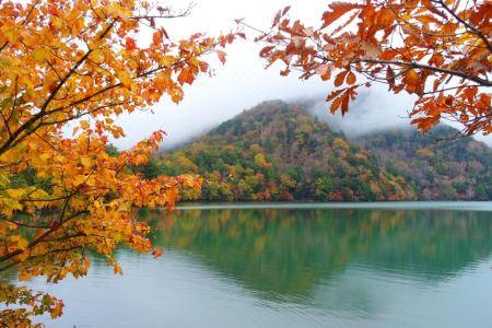 Chuzenji Pension - 11