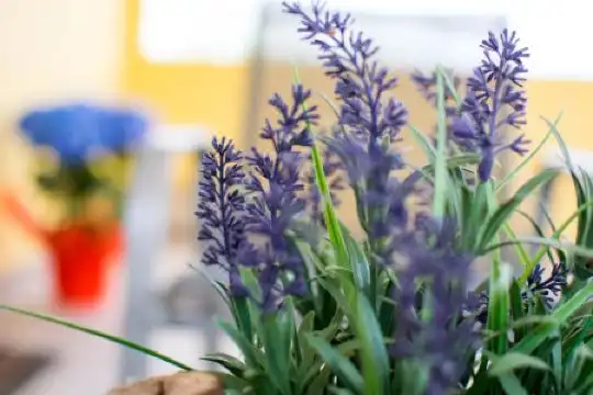 ATH Airport Suites Free Shuttle from and to Athens Airport - 16