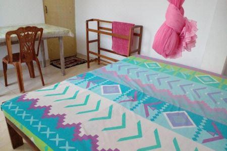 Chanro Surf Dream - 16