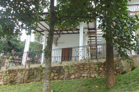 Lavender Hills - 10