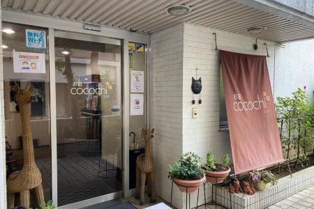 Oyado Cocochi - 8