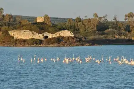 Il Melograno b&b - 2