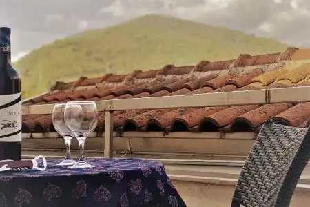 Villa Wolf Brave (Hrabri Vuk) - 40