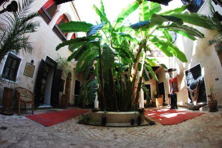 Riad Bamileke - 9