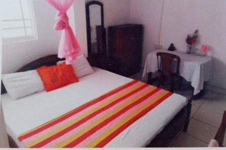 Chanro Surf Dream - 13