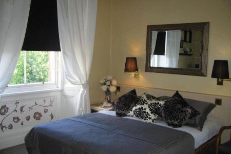 Thistle - 20