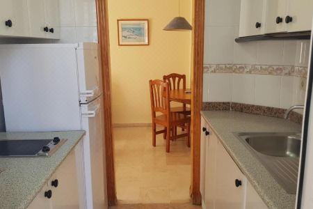 Torres Gardens-Fincas Benidorm - 33