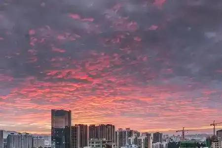 Shenzhen Kingkey Kingyu - 4