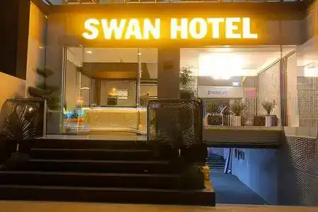 Swan - 6
