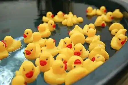 Hanamandara - 2
