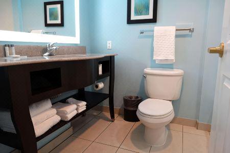 Best Western Plus Orlando Lake Buena Vista South Inn Suites - 72