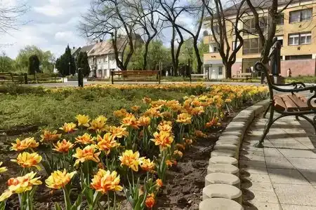 Romantika Panzió - 1