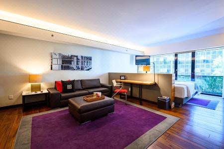 Las Suites Campos Eliseos - 35