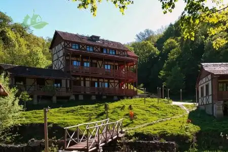 Dilijan Nature Cottage - 4