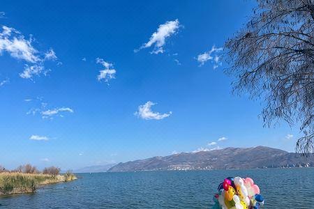 Dali Man Yue · M Seaview - 70