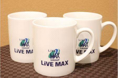 LiVEMAX BUDGET - 110