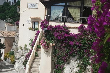 Florenza Residence - 1