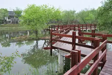 Xixi - 8