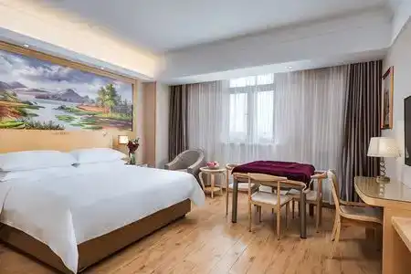 Vienna - 5