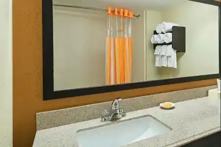 Comfort Inn & Suites Tampa North I-75 - 16