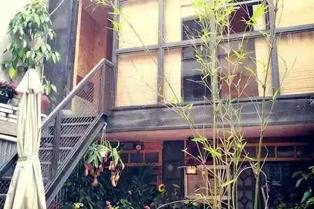 Blue Lotus Art Guesthouse - 3